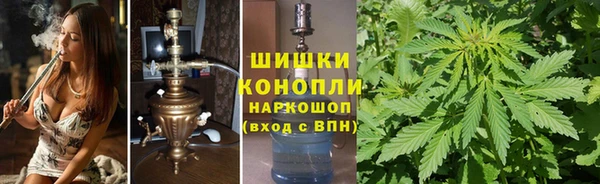 амф Алзамай