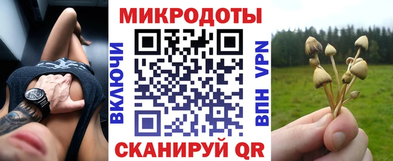 Псилоцибиновые грибы Psilocybine cubensis  Байкальск 